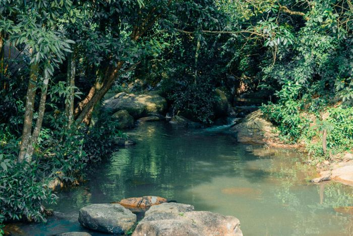 Mùa thu đã bắt đầu hiện hữu yên bình trên từng con đường nhỏ ở Vũng Tàu