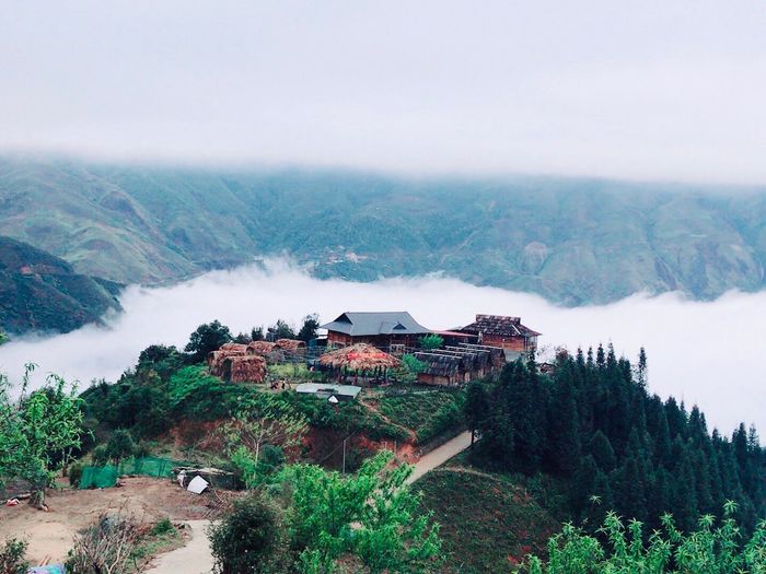 Vươn lên đỉnh lưng của khủng long và vượt qua đỉnh mây Tà Xùa 4