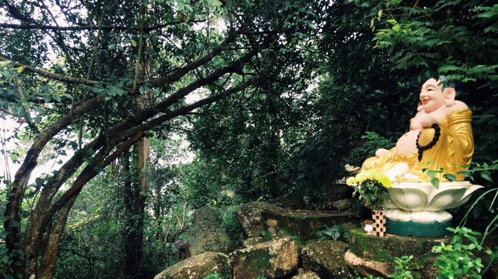 Núi Dinh Vũng Tàu: Điểm đến đầy phong cách cho những ai muốn thử sức trekking lần đầu.