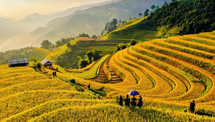 Top 5 điểm du lịch Yên Bái đẹp say lòng với những cảnh đẹp như triệu đô