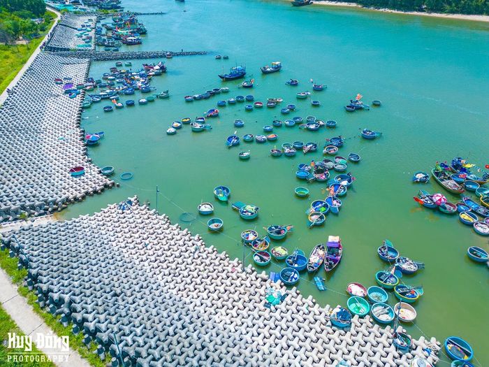 Cảng cá Lộc An, một bức tranh về cuộc sống sôi động giữa phố biển Vũng Tàu 6