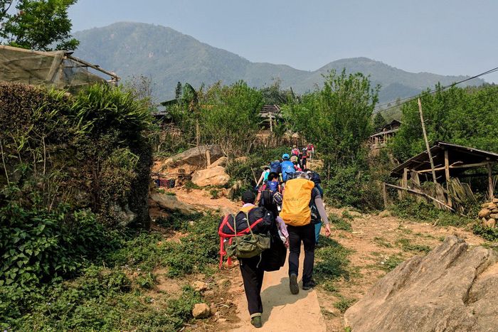 Lịch trình trekking Tà Xùa 3N2Đ - 72 giờ leo núi săn mây phiên bản 3