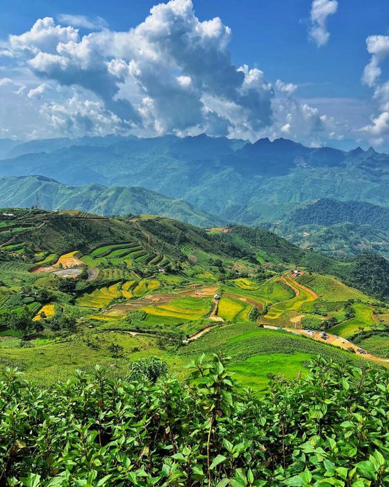 Thưởng ngoạn vẻ đẹp của Tà Xùa trong ngày không mây 8