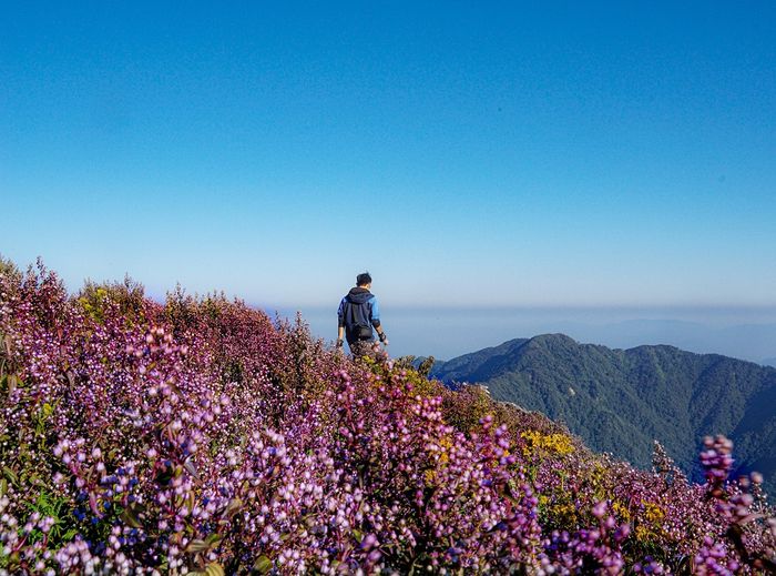 Tham gia Mytour.vn khám phá Mùa hoa tím trên đỉnh Tà Chì Nhù 5