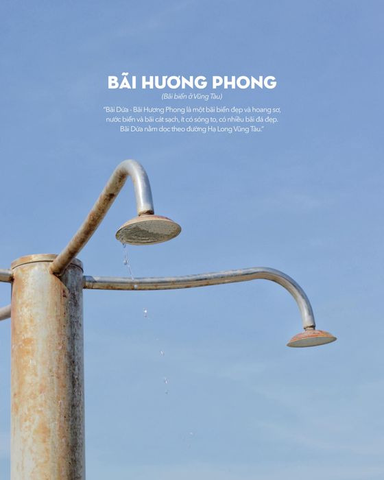 Nhìn ngang, nhìn dọc đừng bỏ lỡ mấy điều dễ thương tại Bãi Dứa Vũng Tàu 9