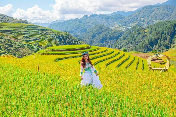 Khám phá vẻ đẹp lúa Mù Cang Chải không thể thiếu khi đến với Yên Bái