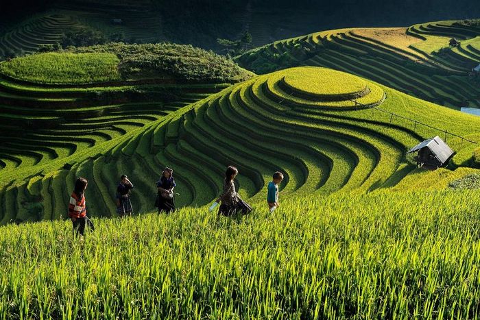Điểm qua những Kinh nghiệm đi thác Pú Nhu tự túc cùng với Mytour.vn 5
