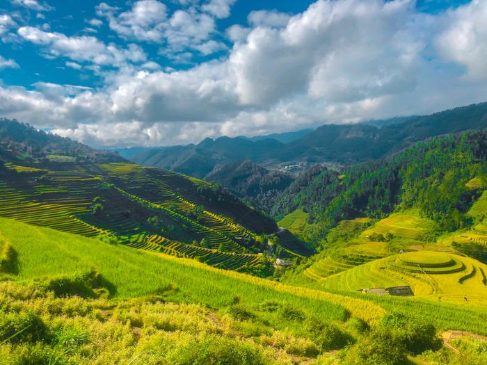 Khám phá Mù Cang Chải trong 2 ngày 1 đêm vào mùa vàng đẹp như tranh vẽ 3