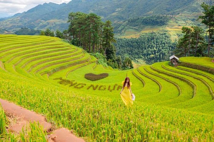 Khám phá vẻ đẹp lúa Mù Cang Chải không thể thiếu khi đến với Yên Bái