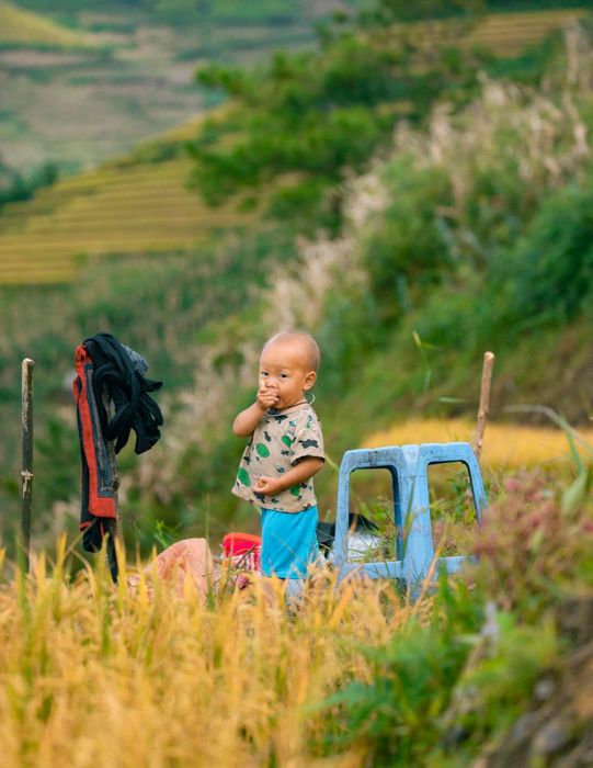 Khám phá Đồi Mâm Xôi Bé trên hành trình du lịch Mù Cang Chải 7