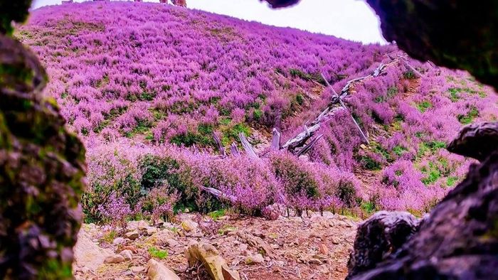 Trải nghiệm 17 tiếng trekking Tà Chì Nhù, ngắn gọn, súc tích dành cho những người thích khám phá