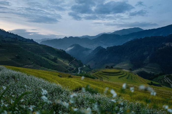 Tiết lộ đánh giá Tú Lệ - Yên Bái không thể bỏ lỡ 9