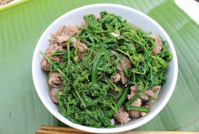 Hương vị đặc trưng của Rau dớn Mường Lò trong vùng núi Tây Bắc