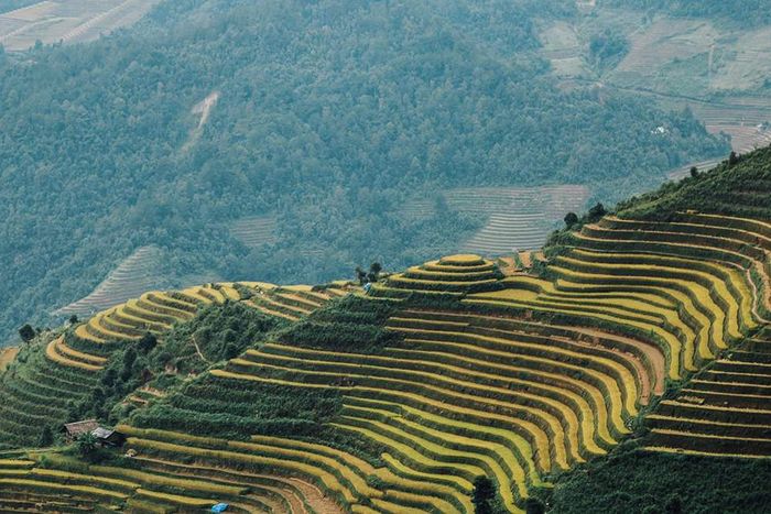 Gợi ý Lịch trình Yên Bái - Nghĩa Lộ - Mù Cang Chải 3 ngày tự túc 6