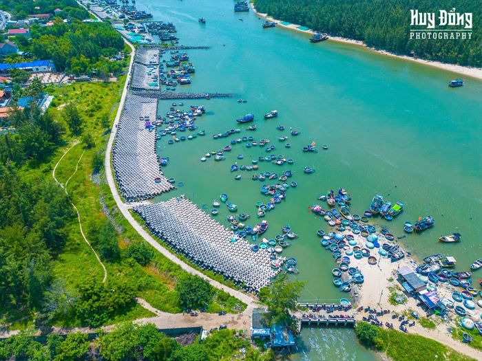Cảng cá Lộc An, một bức tranh về cuộc sống sôi động giữa phố biển Vũng Tàu 5