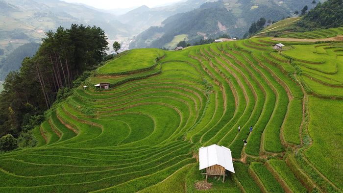 Bí kíp du lịch Yên Bái dành cho những ai say mê khám phá