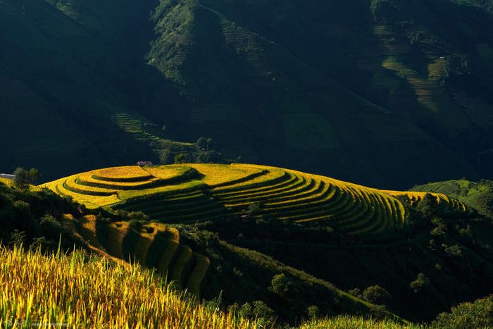 Đến Xím Vàng để khám phá vẻ đẹp của mùa vàng, chỉ cách Tà Xùa 18km