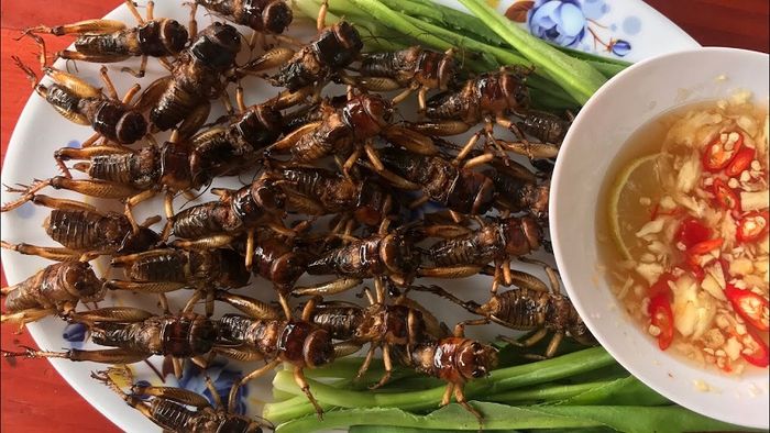 Danh sách 15 đặc sản Yên Bái độc đáo mang hương vị của núi rừng