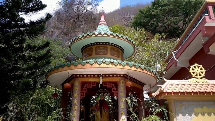 Đánh giá chuyến đi Vũng Tàu 2 ngày 1 đêm, check-in tại các địa điểm hot cùng với thú cưng.