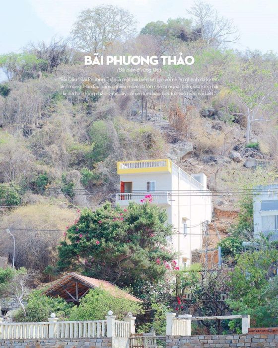 Bãi Dâu Vũng Tàu không chỉ có những con hẻm dễ thương, mà còn chứa đựng vô số điều đáng yêu khác.