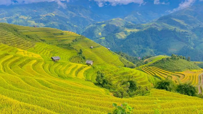 Khám phá Vẻ đẹp tuyệt vời của Ruộng bậc thang Mù Cang Chải 2
