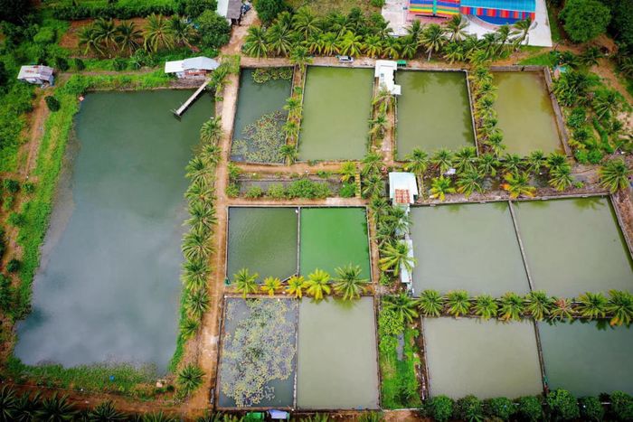 Khám phá Khu sinh thái dã ngoại Suối Giàu - điểm nóng ở Châu Đức