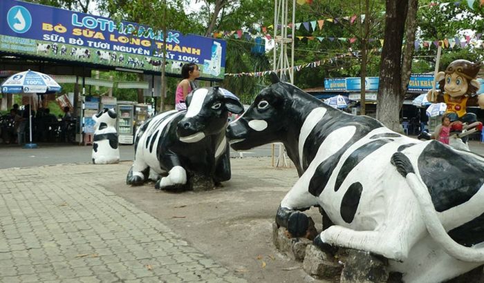 Kế hoạch cắm trại ở Vũng Tàu trong 2 ngày 1 đêm - Trải nghiệm trại trên Mũi Nghinh Phong 10