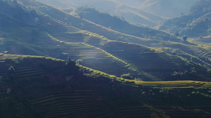 Đánh Giá La Pán Tẩn - Trải nghiệm ruộng bậc thang mùa vàng lôi cuốn 7