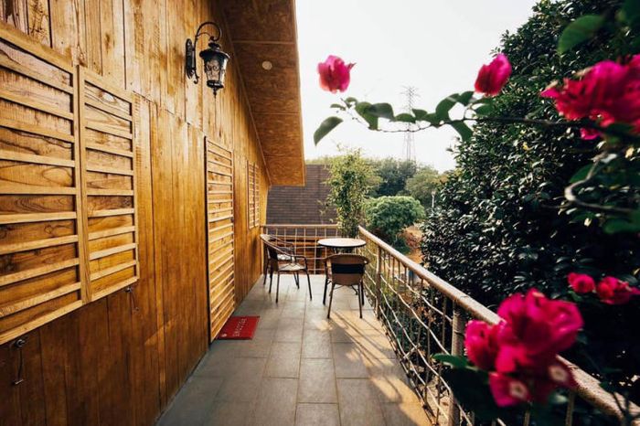 Trải nghiệm cuộc sống nông thôn tại Greenfield Farmstay
