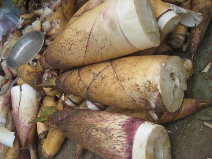 Măng chua héo Yên Bái - Sự hòa quyện giữa tinh hoa tự nhiên và bản sắc văn hóa