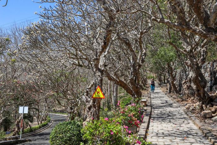 Top 15 điểm check-in Vũng Tàu yêu ngay từ cái nhìn đầu tiên 11