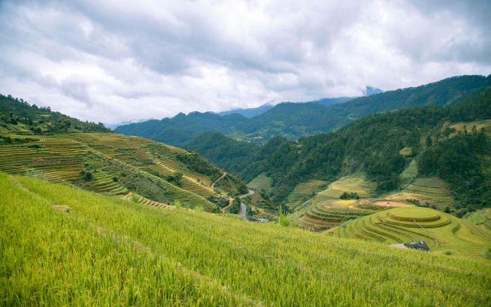 Lang thang Mù Cang Chải để chiêm ngưỡng bức tranh của làng quê vùng cao đẹp đắm lòng.