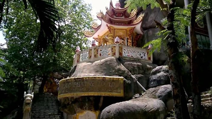 Safari núi Dinh Vũng Tàu: Được biết đến như Đà Lạt của Nam bộ