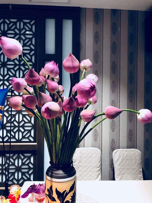 Khám phá Cafe Xưa - Nơi bảo tồn hương vị đậm đà của Yên Bái 4