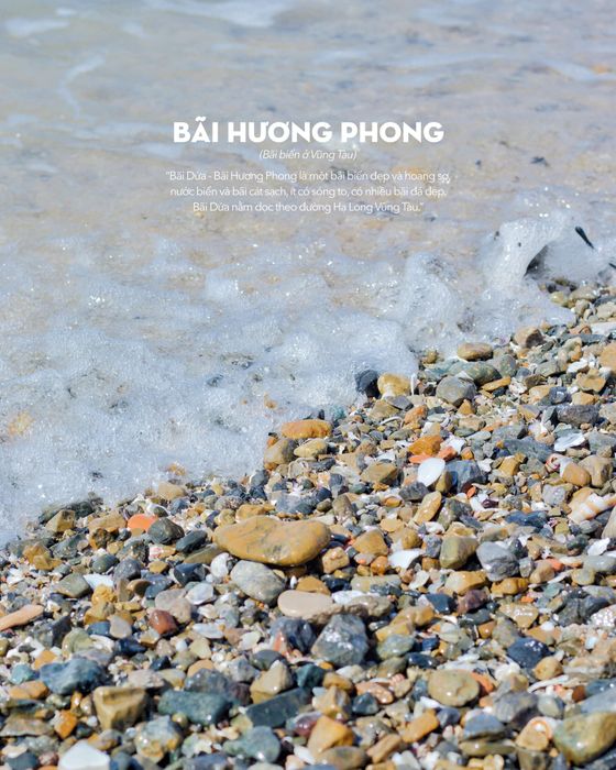 Nhìn ngang, nhìn dọc nhớ nhớn mấy điều dễ thương tại Bãi Dứa Vũng Tàu 11