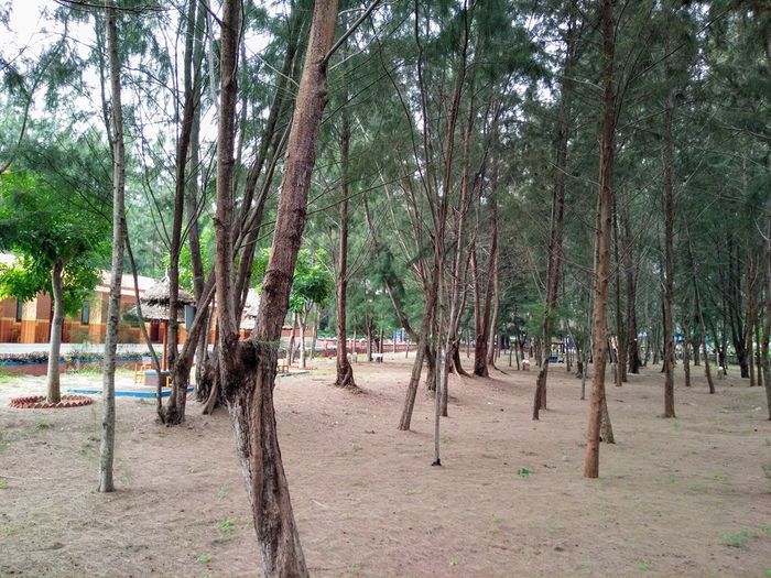 Khu du lịch Chí Linh Vũng Tàu không chỉ là nơi du lịch đẹp mắt mà còn là điểm đến lý tưởng cho các hoạt động nhóm như cắm trại, nướng BBQ cùng bạn bè và ngắm bình minh trên biển.