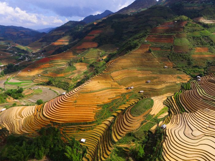Ruộng bậc thang ở xã Chế Cu Nha lung linh mỗi khi mùa vàng đến