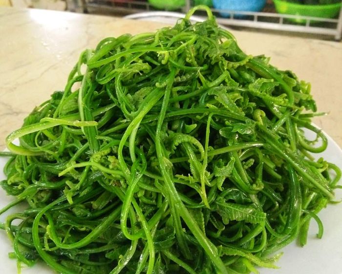 Hương vị đặc trưng của Rau dớn Mường Lò trong vùng núi Tây Bắc