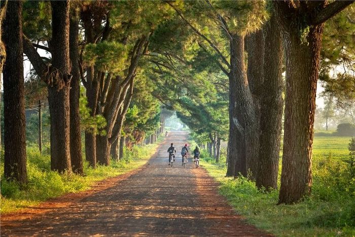 Top 10 điểm du lịch Pleiku đầy ấn tượng với vẻ đẹp hoang sơ của đại ngàn