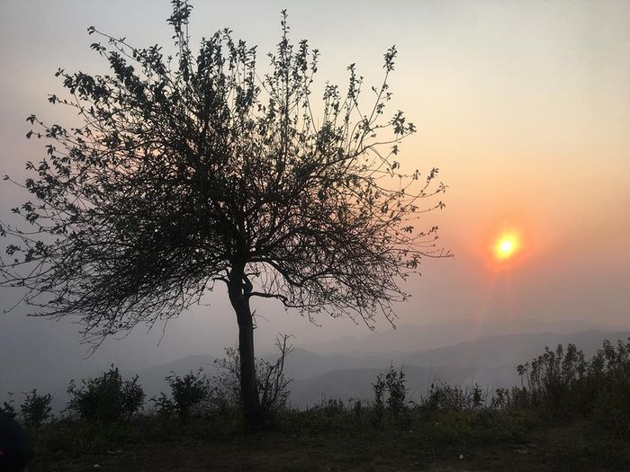 Ghim ngay Kinh nghiệm trekking Tà Xùa - Yên Bái cho những đồng đội đam mê phượt 8