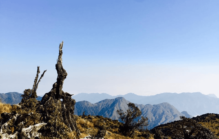 Đã đặt chân đến Yên Bái, không thể quên trải nghiệm Tà Chì Nhù 5