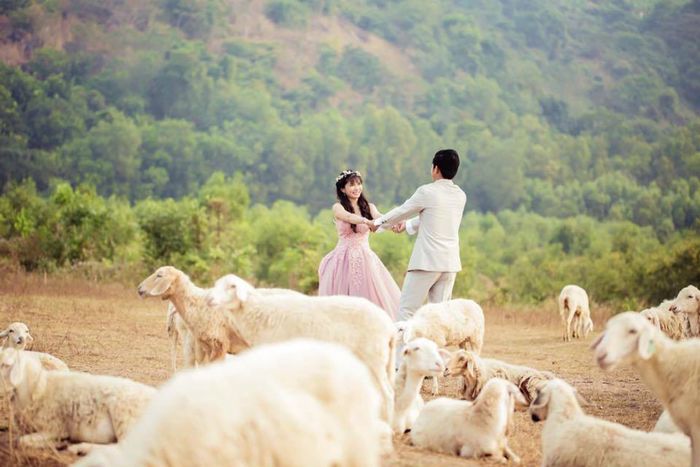 Mẹo hay khi khám phá đồi cừu Vũng Tàu - Nơi bắt đầu hành trình chụp ảnh sống động 10
