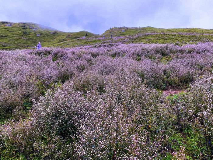 Chuyến trekking Tà Chì Nhù 3 ngày 2 đêm - Đỉnh núi cao thứ 7 Việt Nam