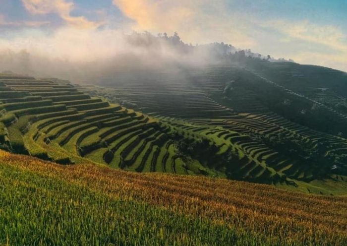 Đánh Giá Mù Cang Chải - Hương lúa quyện trong hồn kỷ niệm vùng quê 8