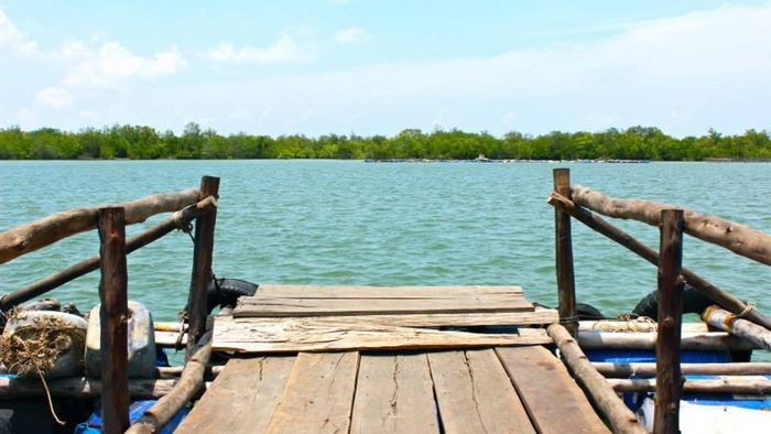 Bè hào Đực Nhỏ Long Sơn - Trải nghiệm hải sản tươi sống tại Vũng Tàu 10