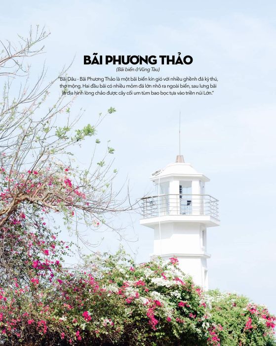 Bãi Dâu Vũng Tàu không chỉ có những con hẻm đáng yêu, mà còn rất nhiều điều dễ thương khác.