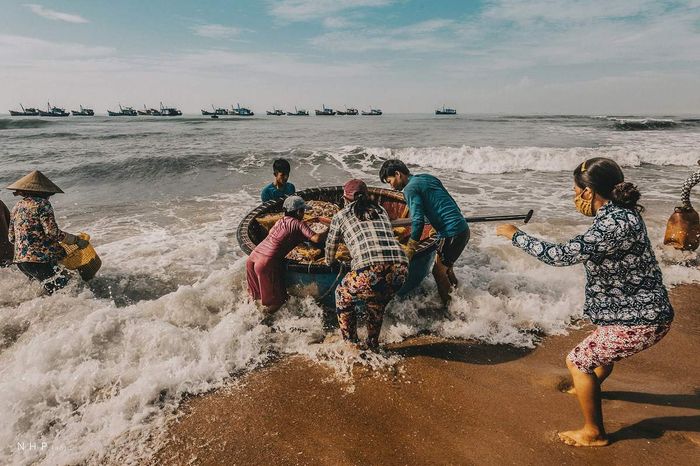 Cuộc sống sáng sớm tại cảng cá Bà Rịa - Vũng Tàu qua ống kính của nhiếp ảnh gia Nguyễn Hoàng Phi 13
