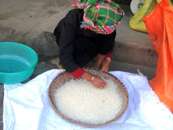 Nếp Tú Lệ - Món quà đơn giản của xứ Mường Lò gửi đến bạn bè ở miền dưới.