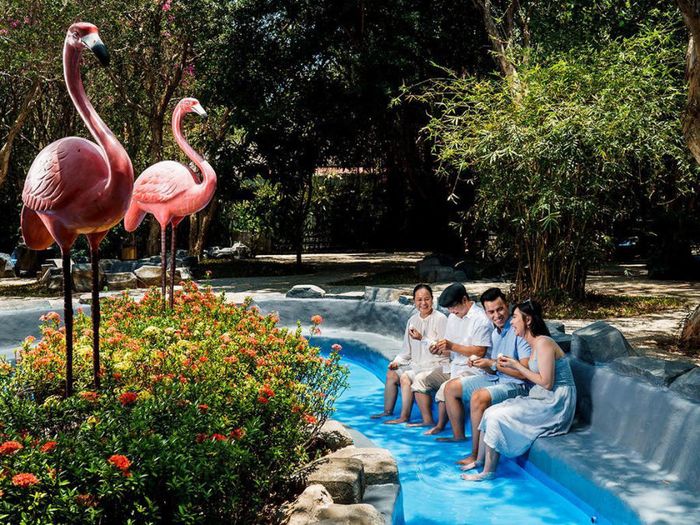 Kinh nghiệm đi Suối nước nóng Bình Châu cuối tuần có gì thú vị 4