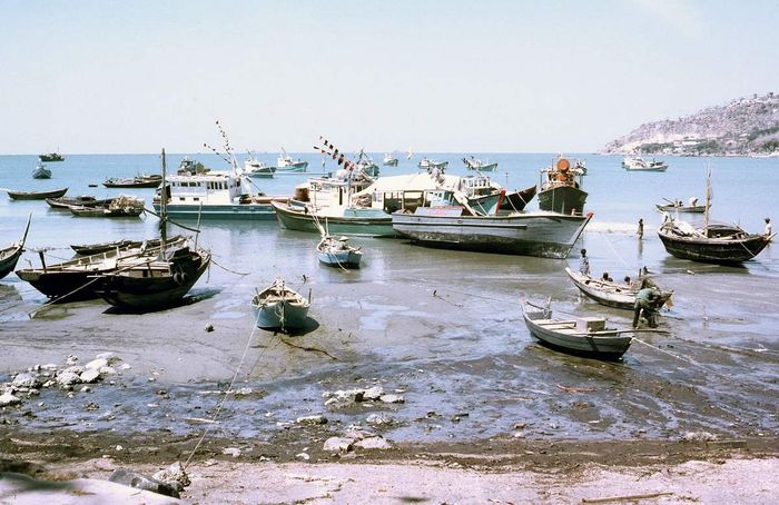 Bộ sưu tập ảnh quý về cuộc sống ở Vũng Tàu trong những năm 70